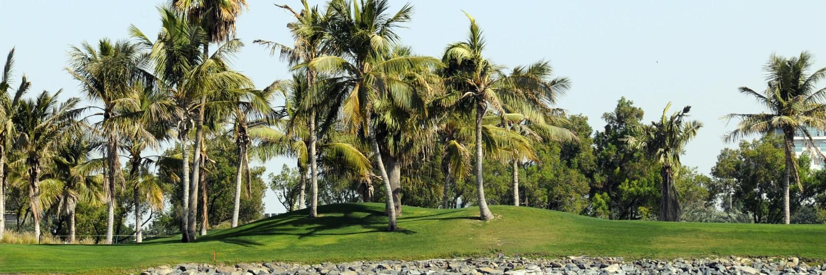Dubai Creek Golf & Yachtclub